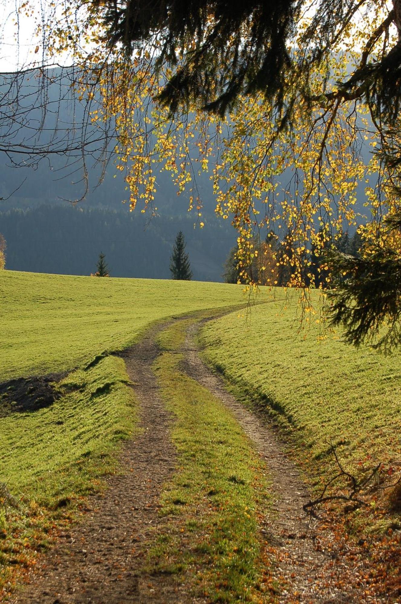 Walcherhof Arriach Exterior foto